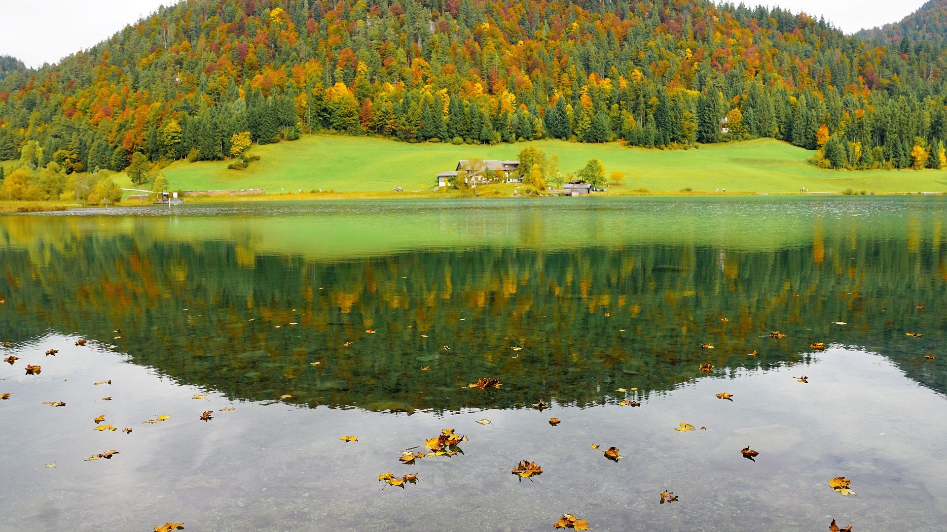 paysage d'automne